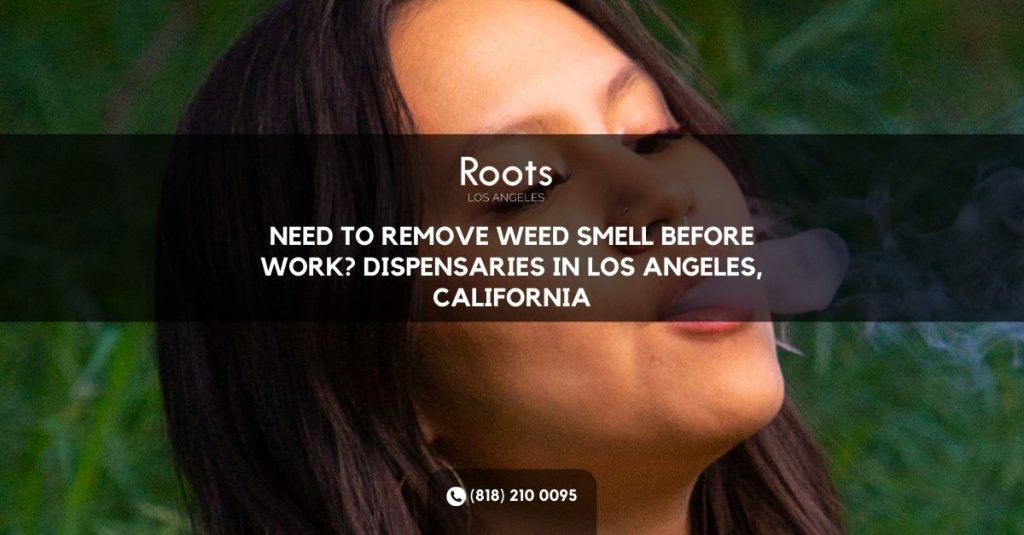 Dispensaries In Los Angeles California