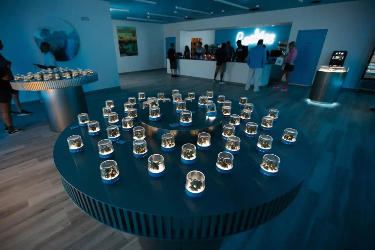 Cookies Cannabis Dispensary Location