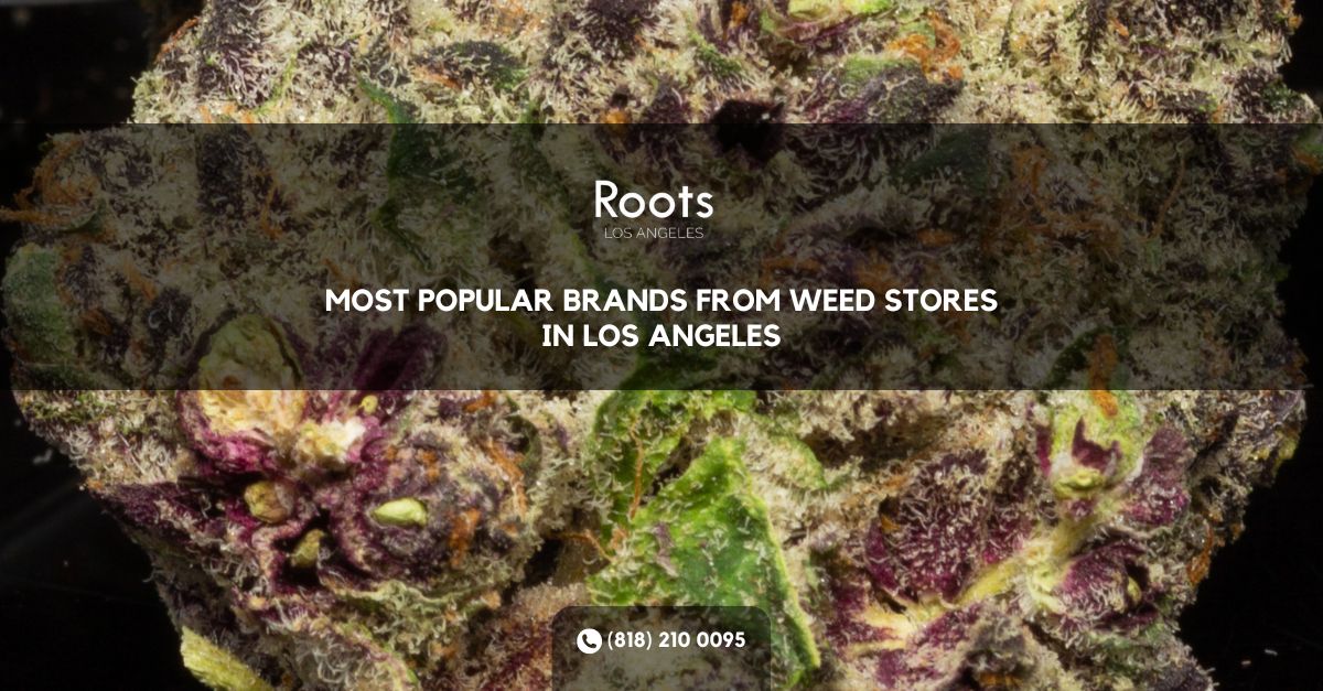 Weed Stores in Los Angeles