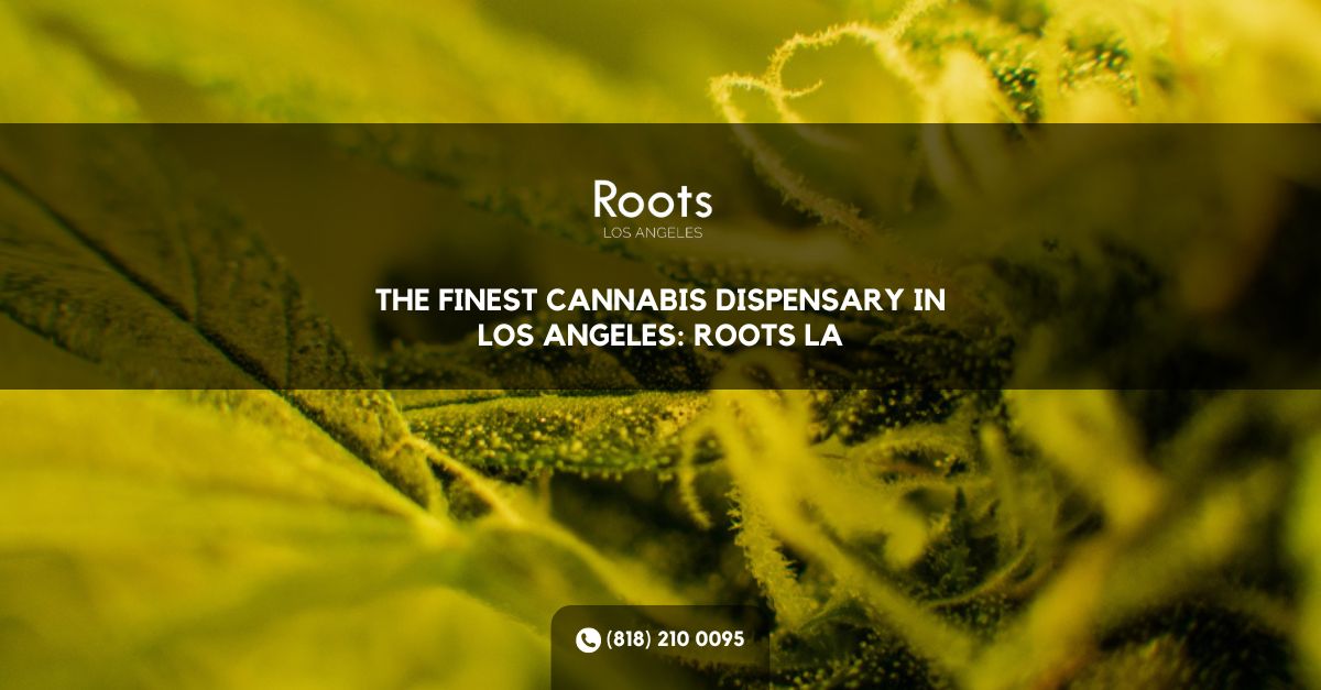 Cannabis Dispensary in Los Angeles