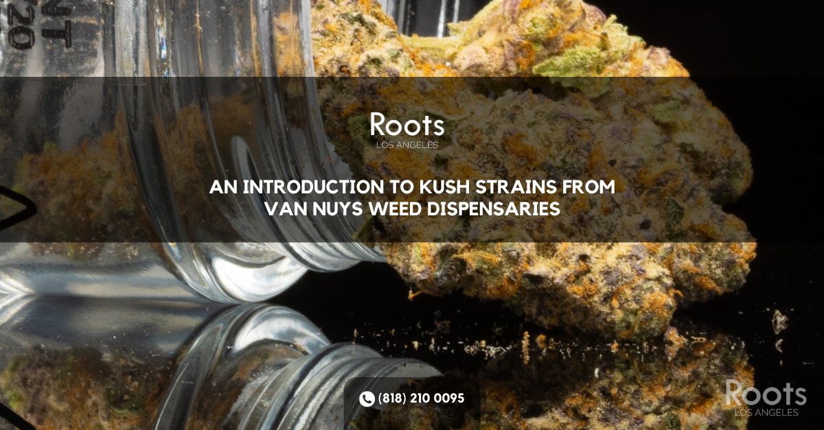 Van Nuys Weed Dispensaries