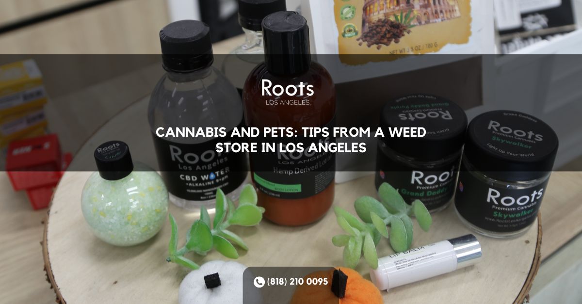 Weed Store Los Angeles