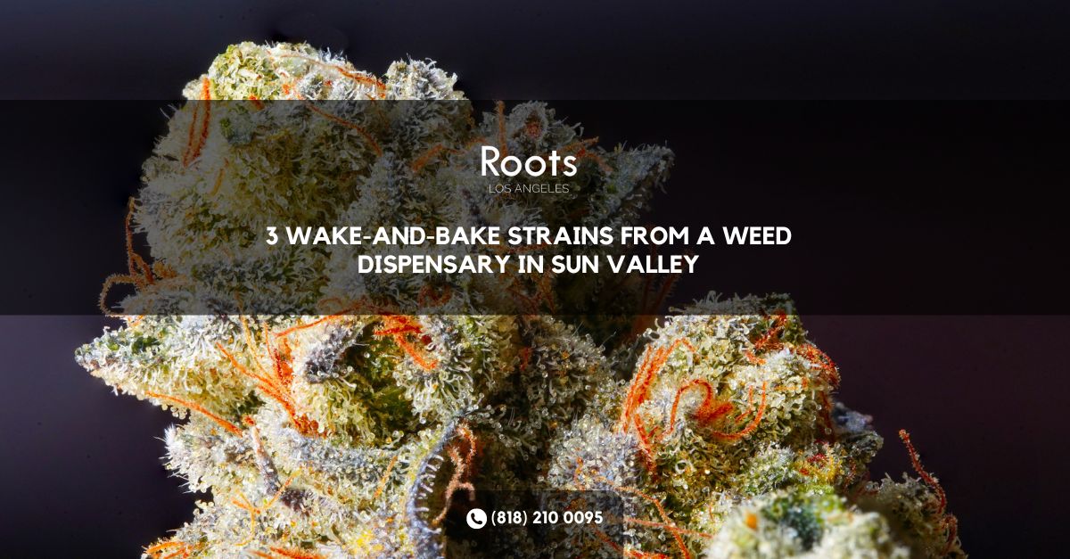 Weed dispensary in Sun Valley