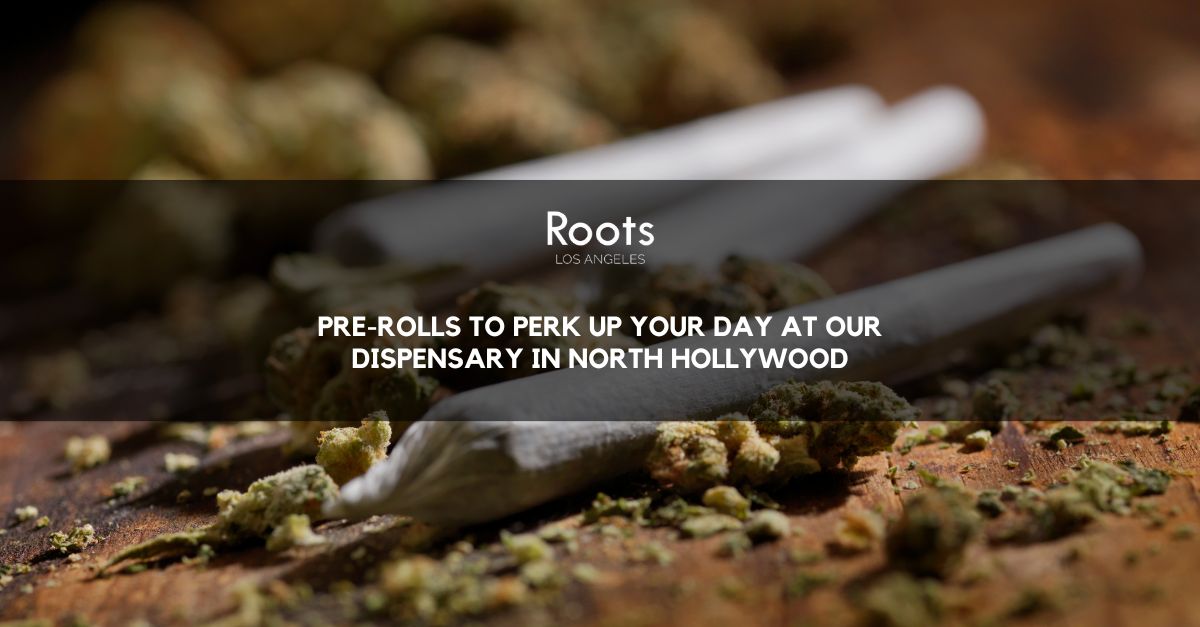 Dispensary in North Hollywood