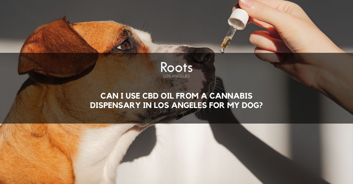Cannabis Dispensary In Los Angeles