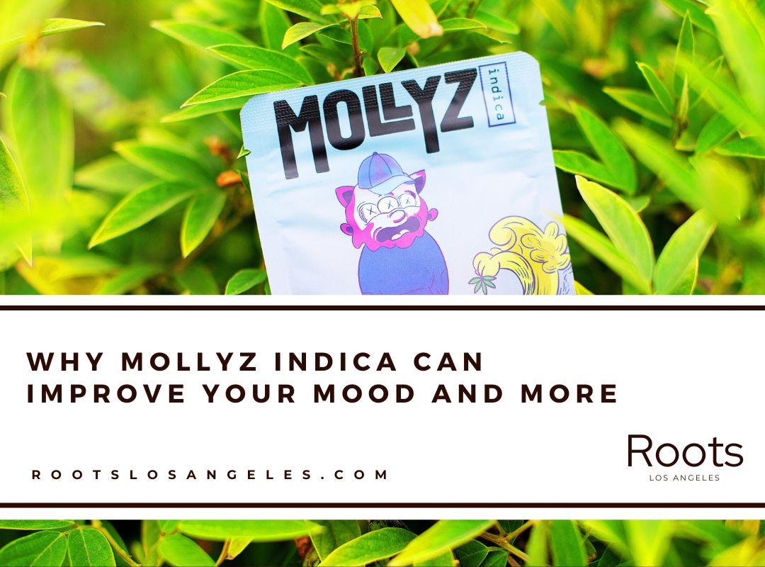 Mollyz Indica