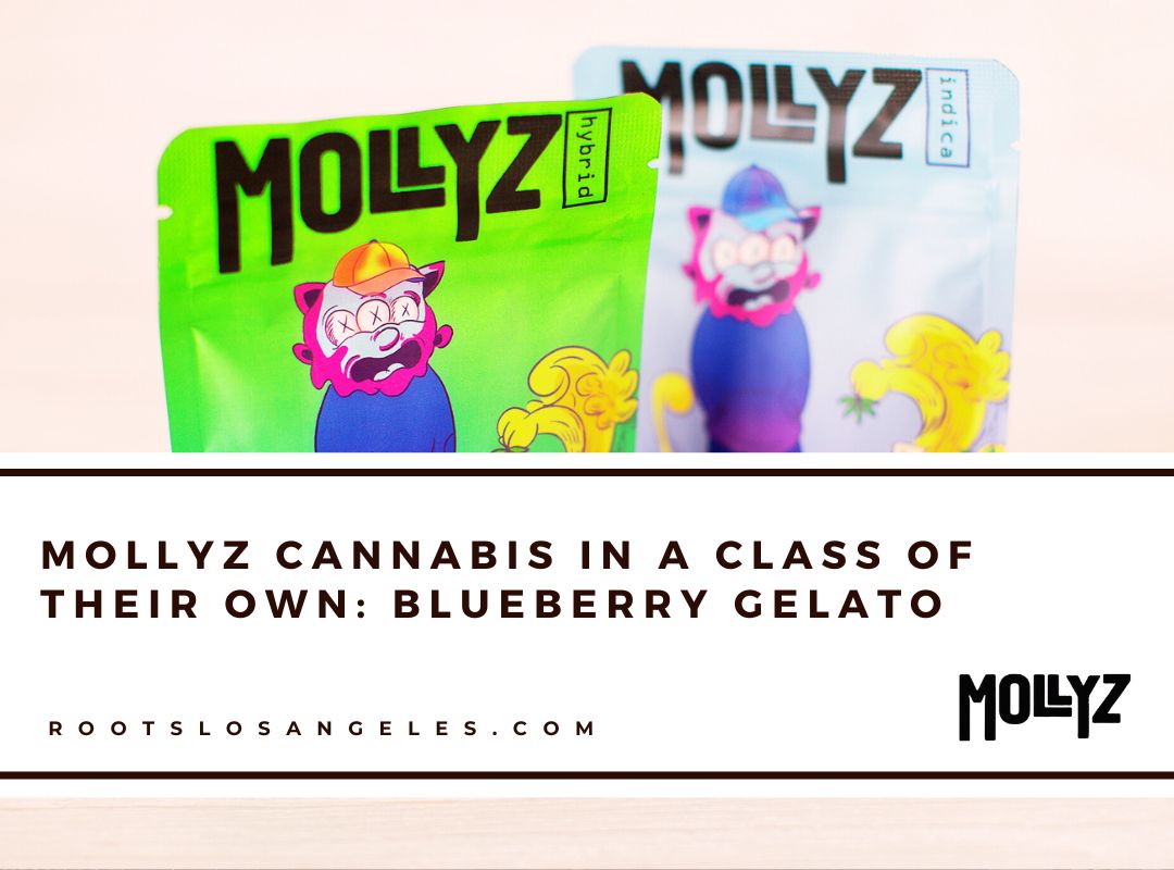 mollyz cannabis