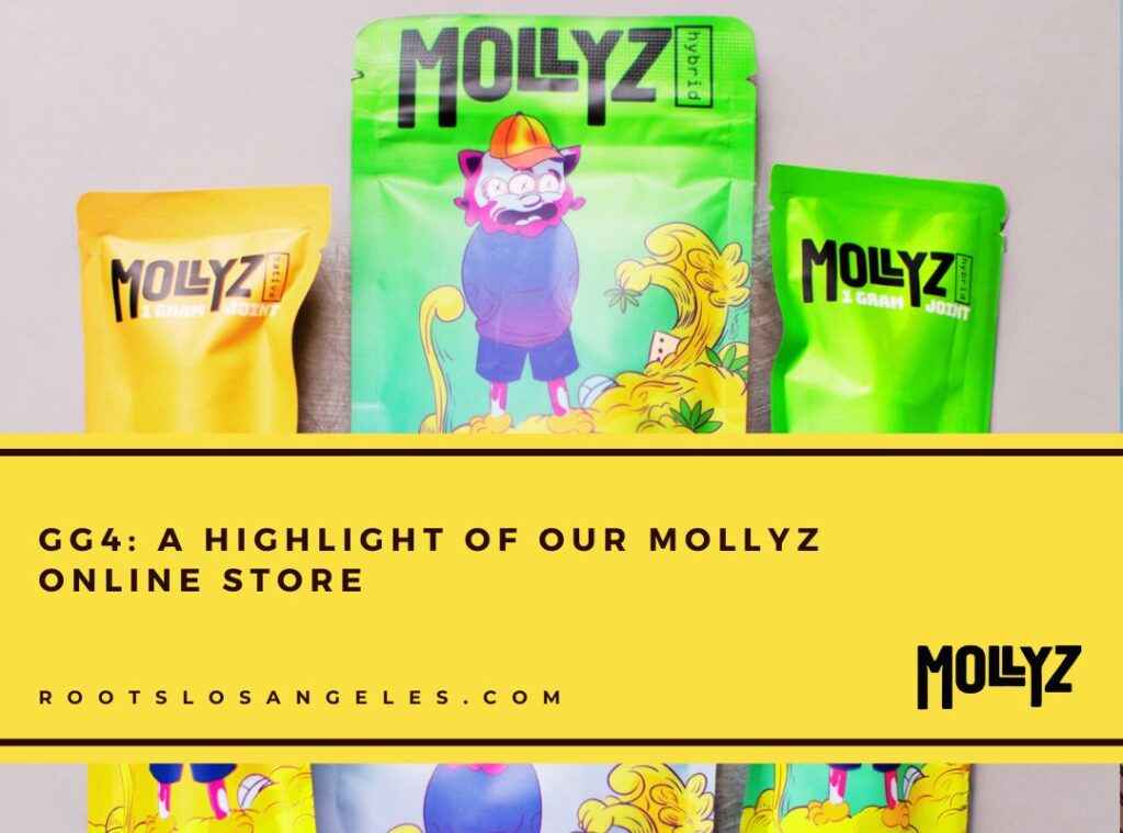 mollyz online store 