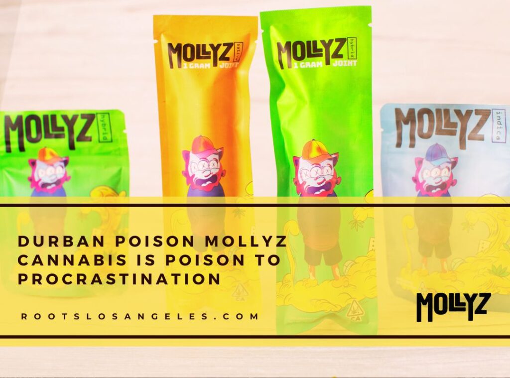 mollyz cannabis