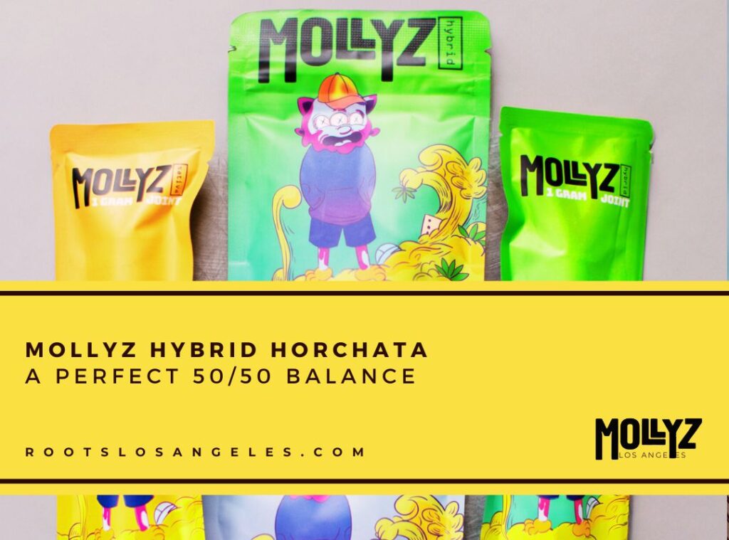 mollyz hybrid