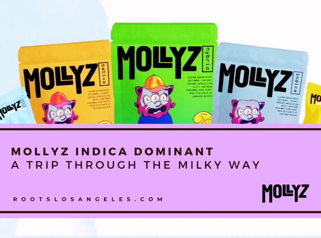 mollyz indica