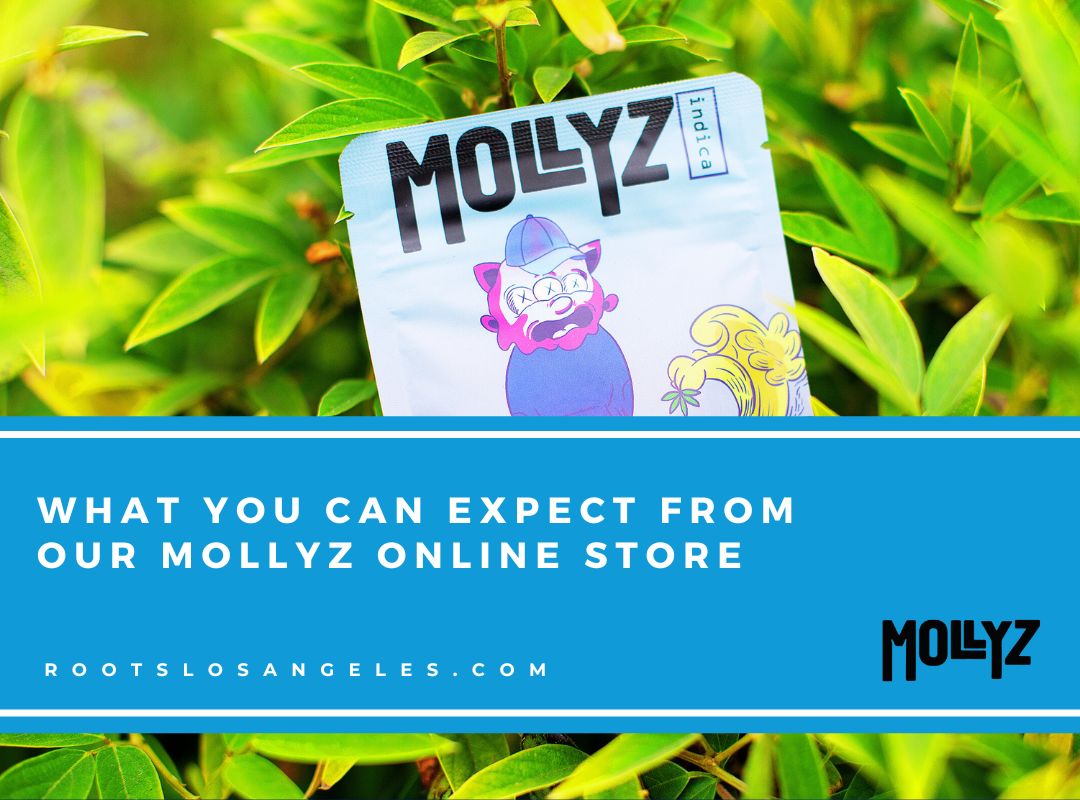 mollyz online store