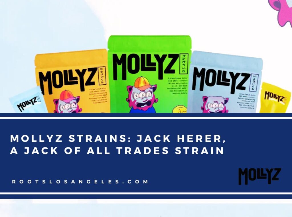 mollyz strains 