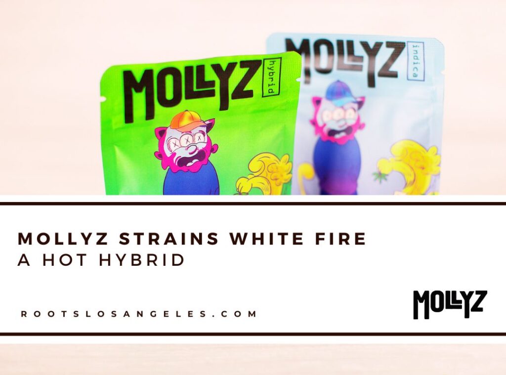 mollyz strains 