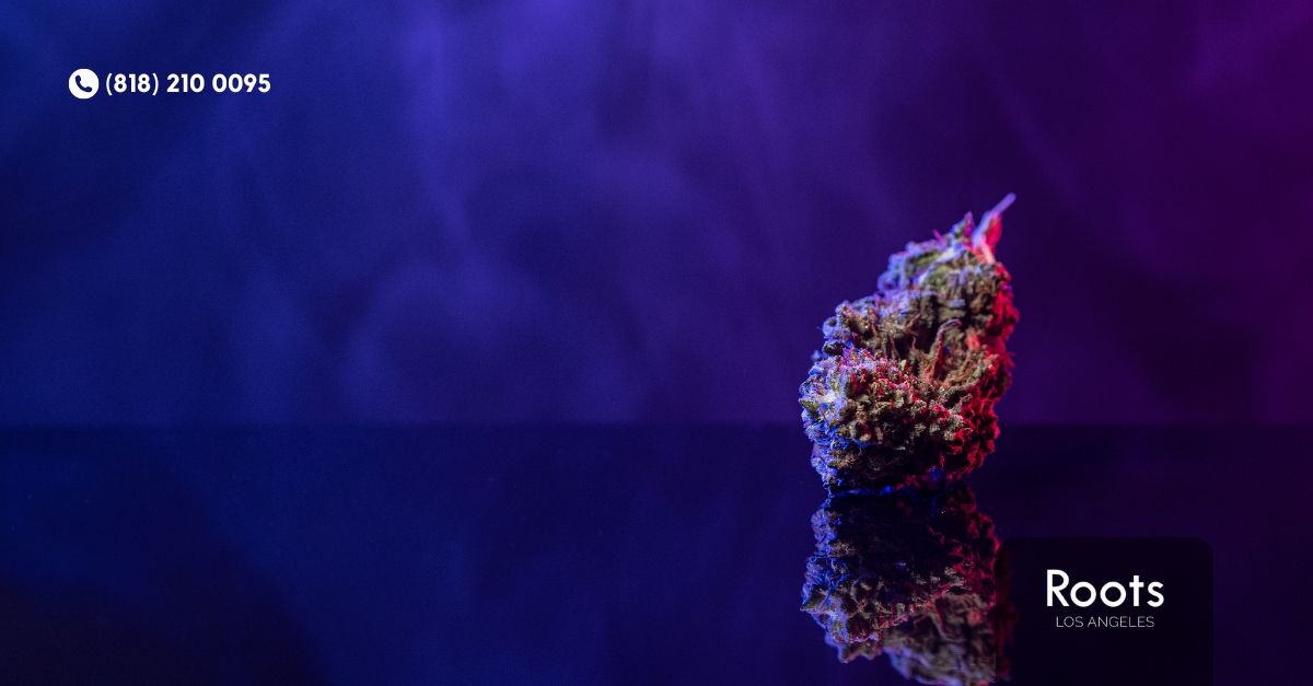 Dispensary North Hollywood