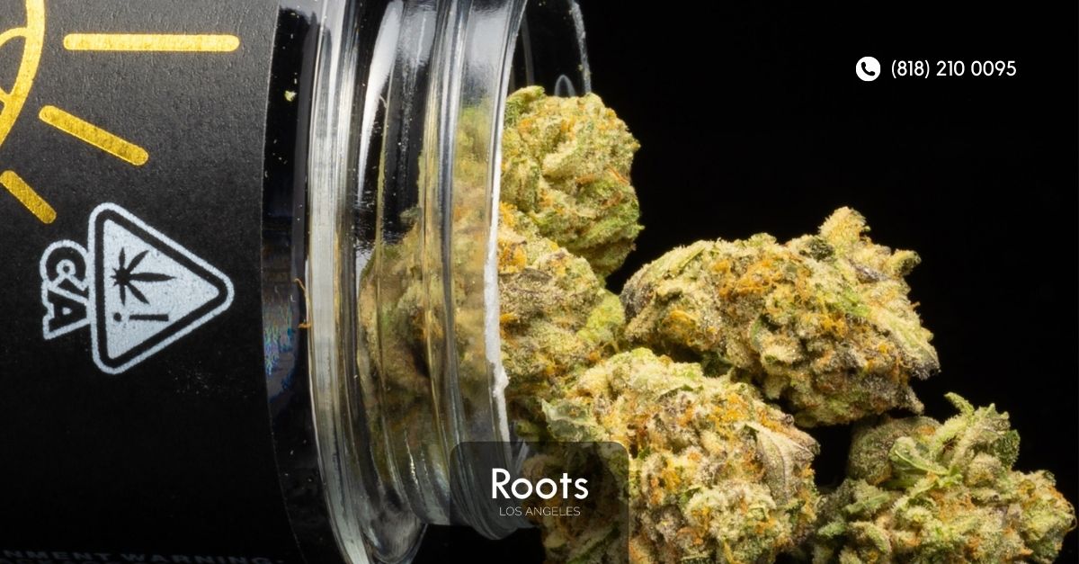 Dispensary North Hollywood