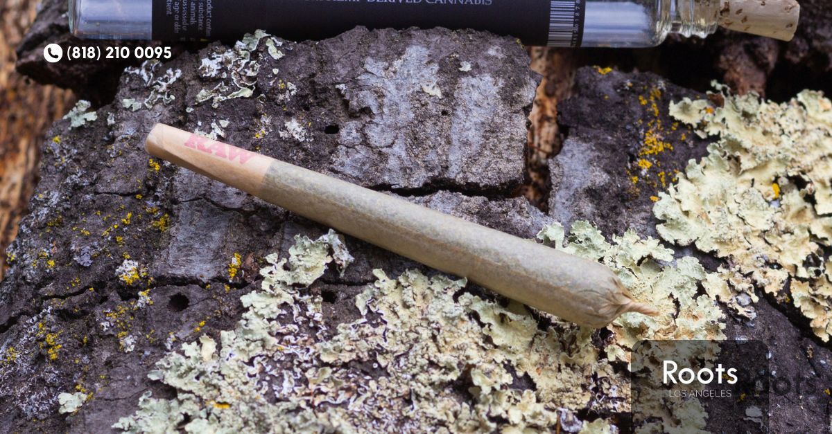 Weed Store Los Angeles