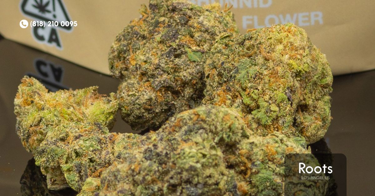 Van Nuys Weed Dispensaries