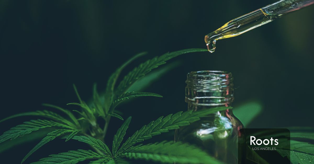 Best Dispensary in LA Best Dispensary in LA