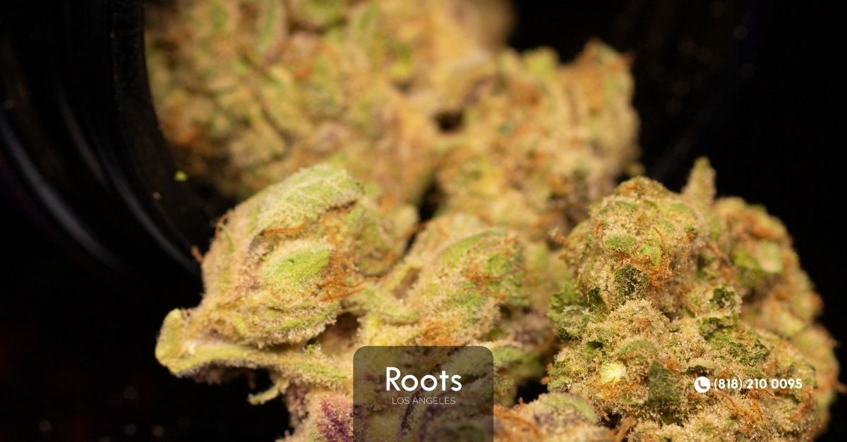 Best Dispensaries In Los Angeles