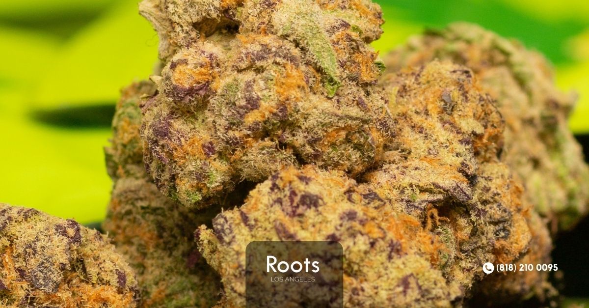 best dispensary in Los Angeles