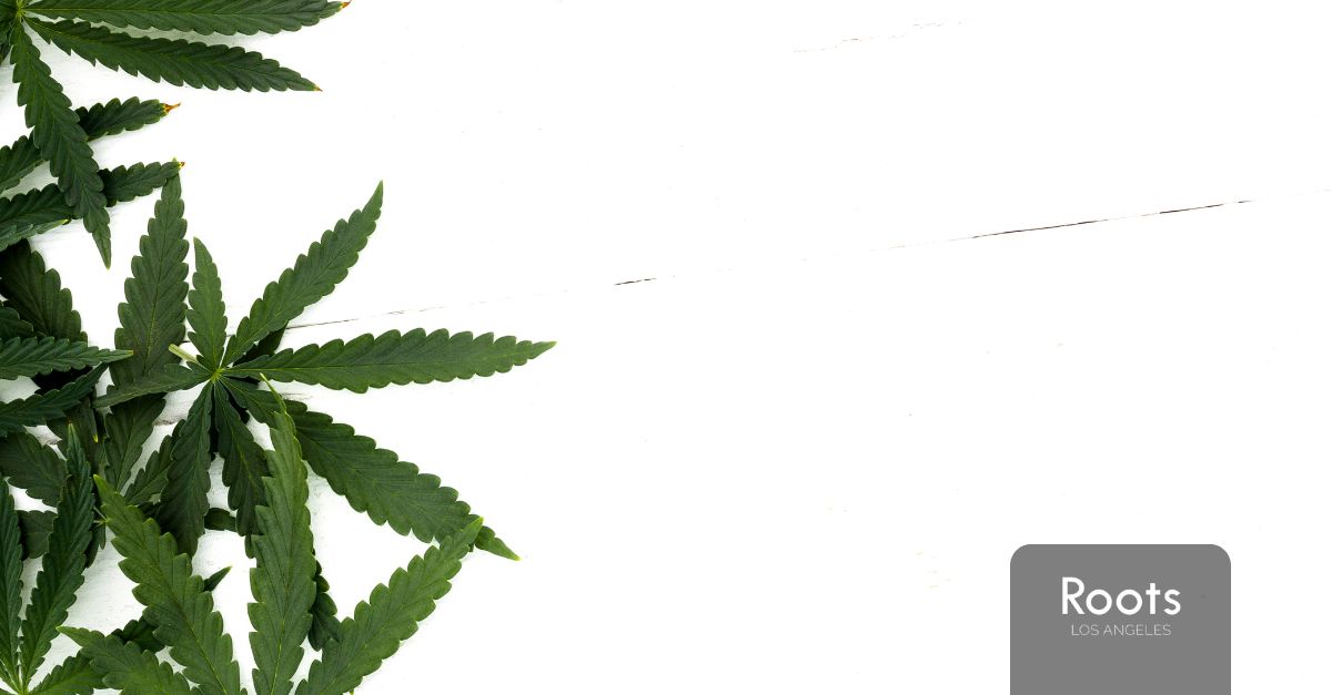 Best Dispensary in Los Angeles Best Dispensary in Los Angeles