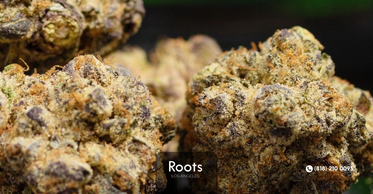 Cannabis Dispensary Los Angeles