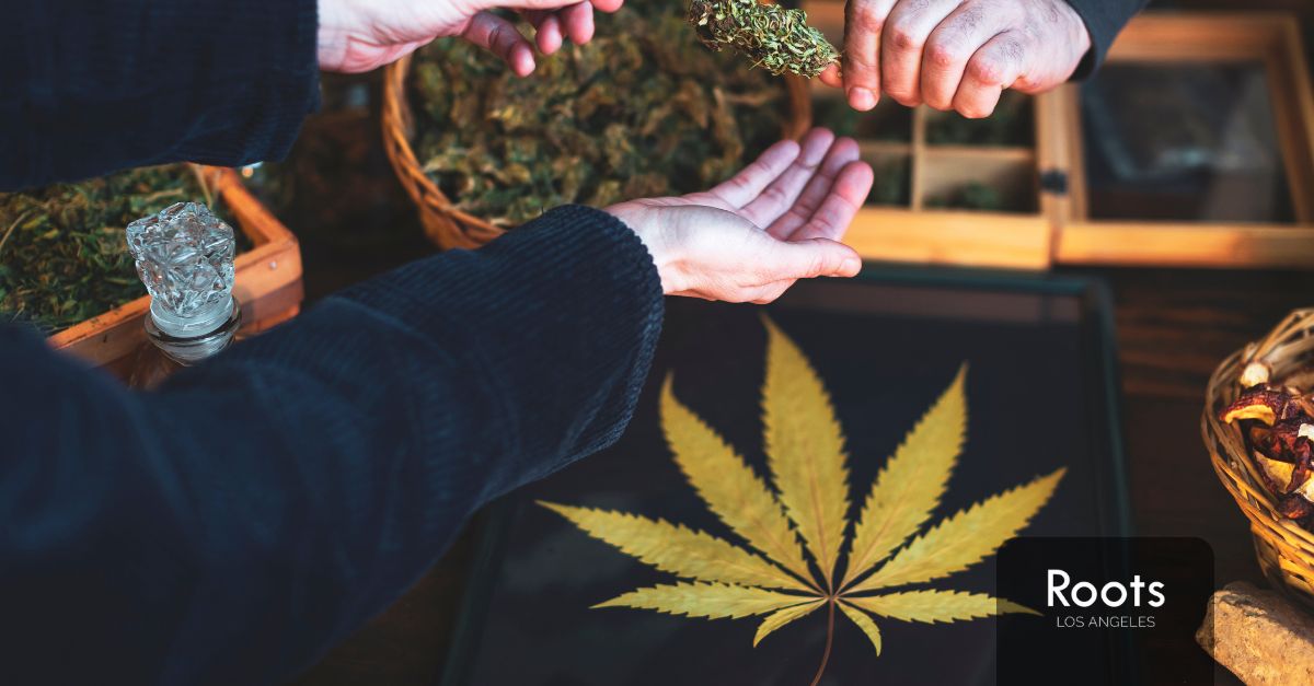 cannabis store near me