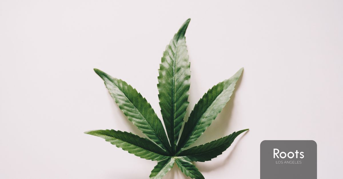 Cannabis Dispensary in Sun Valley Cannabis Dispensary in Sun Valley