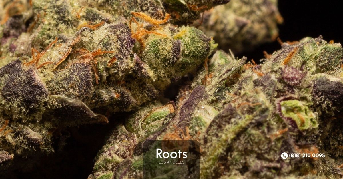 Dispensaries In Los Angeles