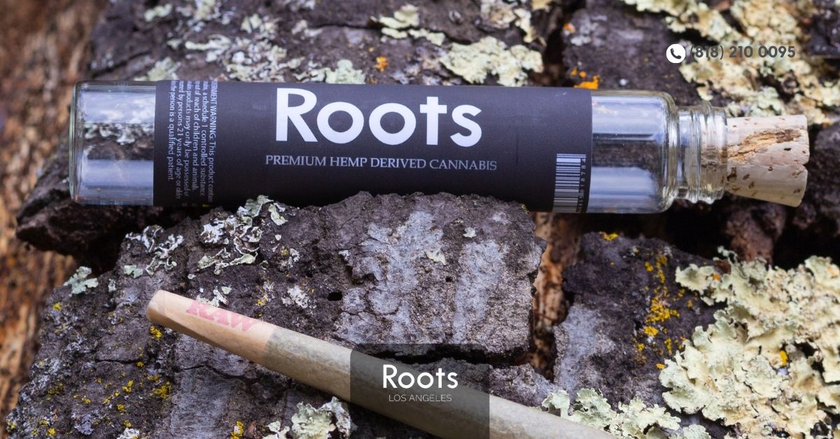 Dispensary North Hollywood