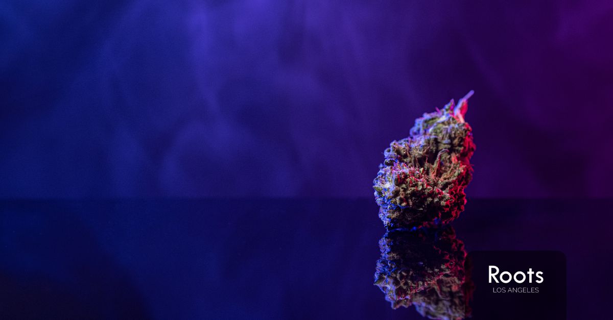 cannabis dispensary in los angeles