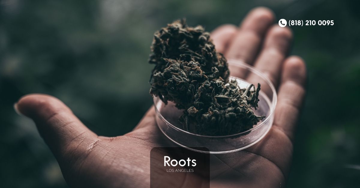 Best Dispensary In Sun Valley