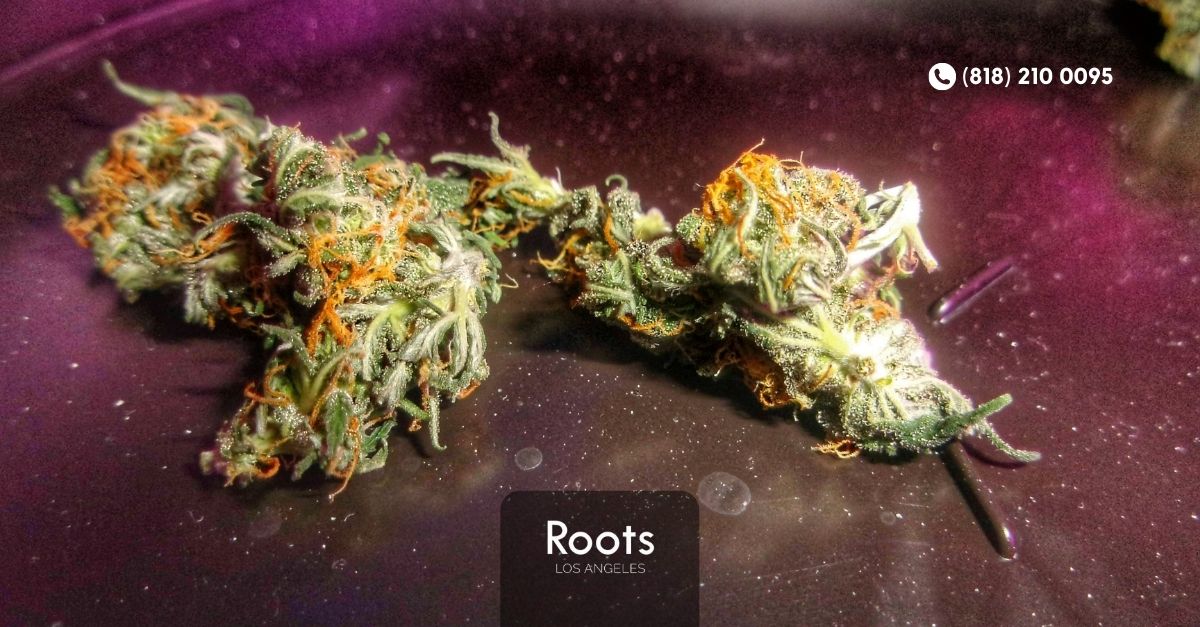 Best Dispensary in Los Angeles