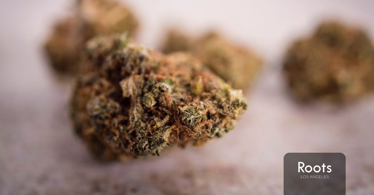 Weed Dispensary in Los Angeles