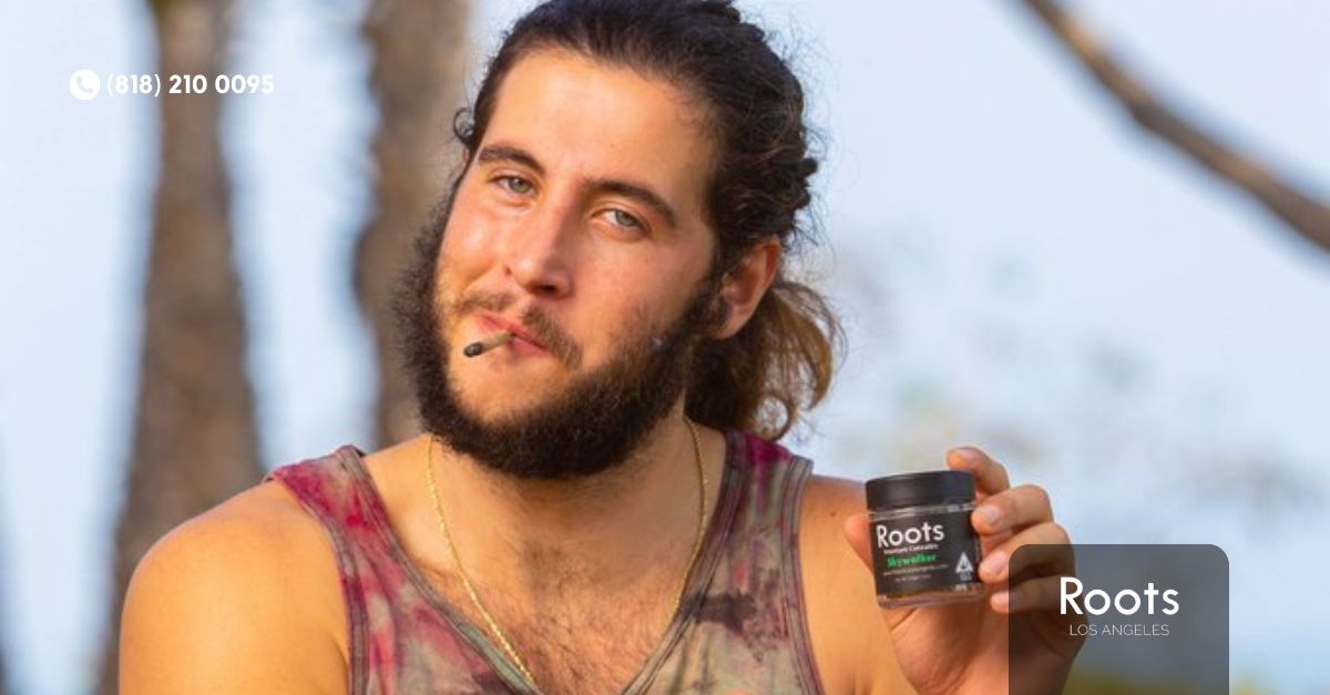 Dispensary North Hollywood