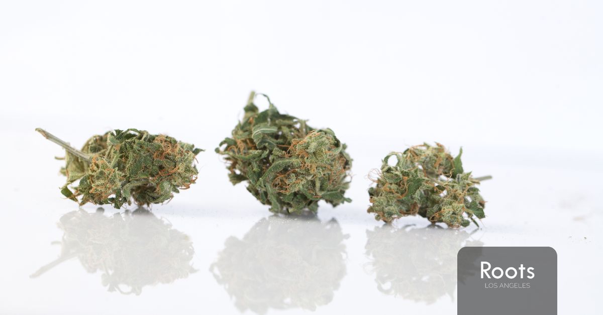 Cannabis Dispensary in Los Angeles