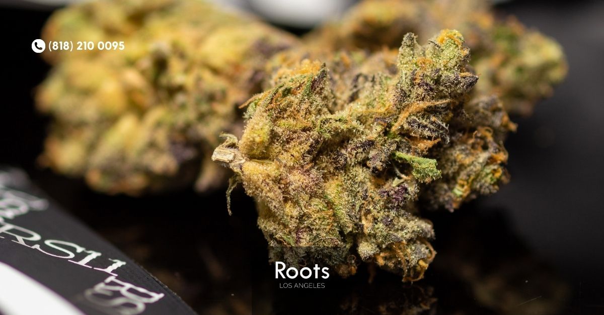 Dispensary Open Near Me Los Angeles