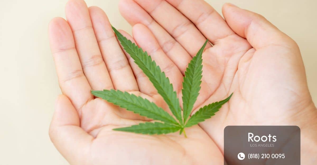 introduction to cbd gummies from medical marijuana 