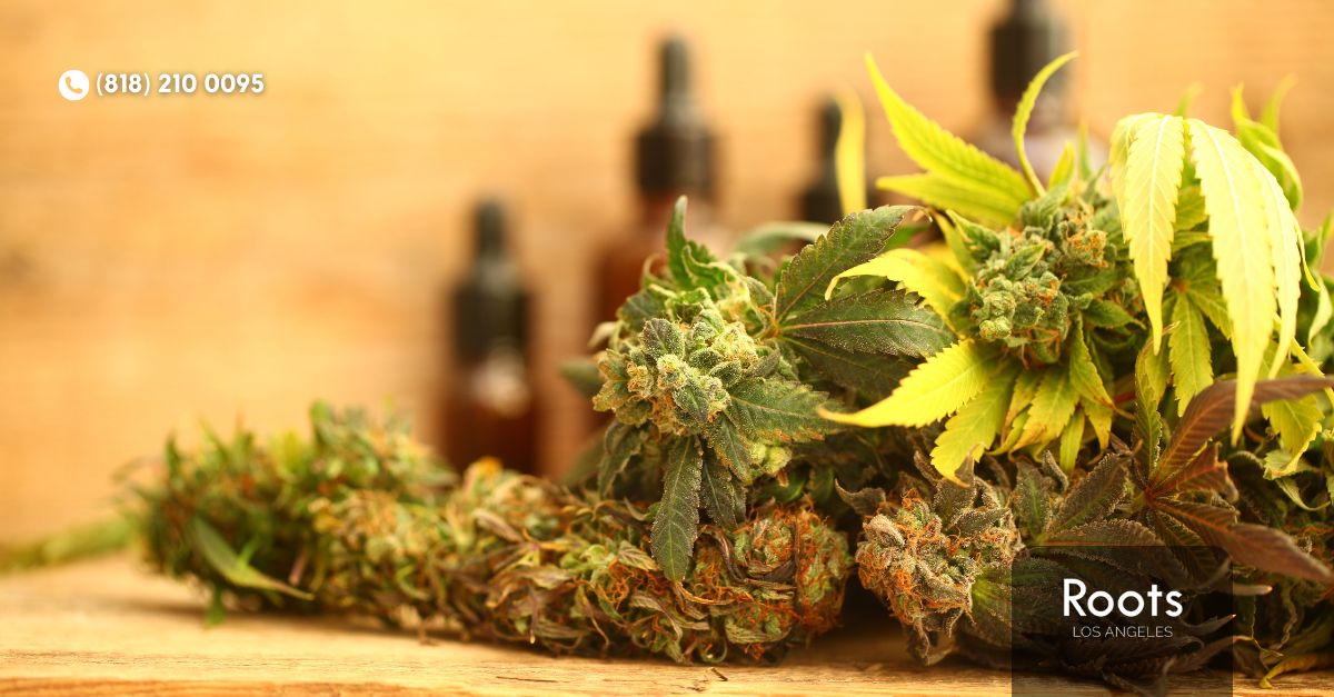 dispensary in north hollywood