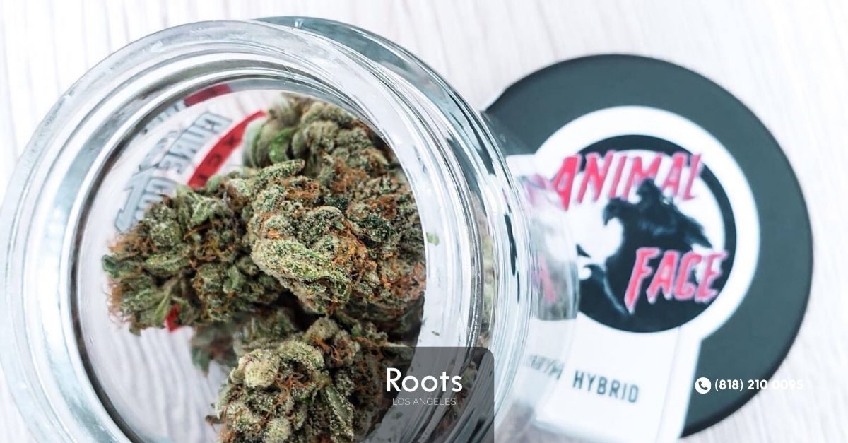 Los Angeles Dispensaries