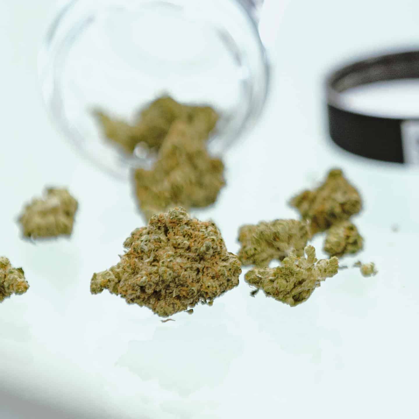 marijuana store near me