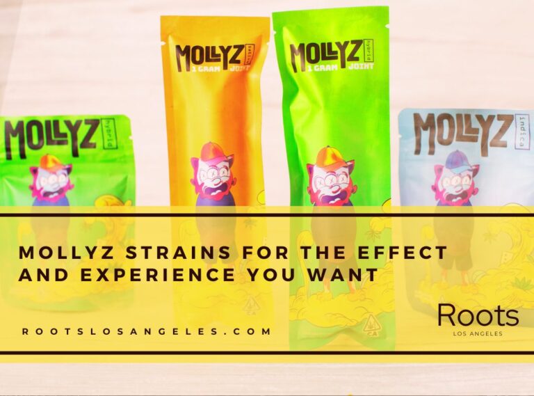 mollyz cannabis