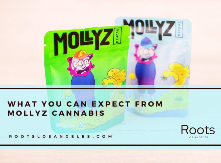 mollyz cannabis