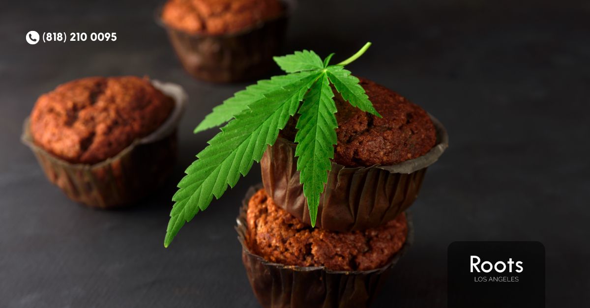 dispensary in north hollywood