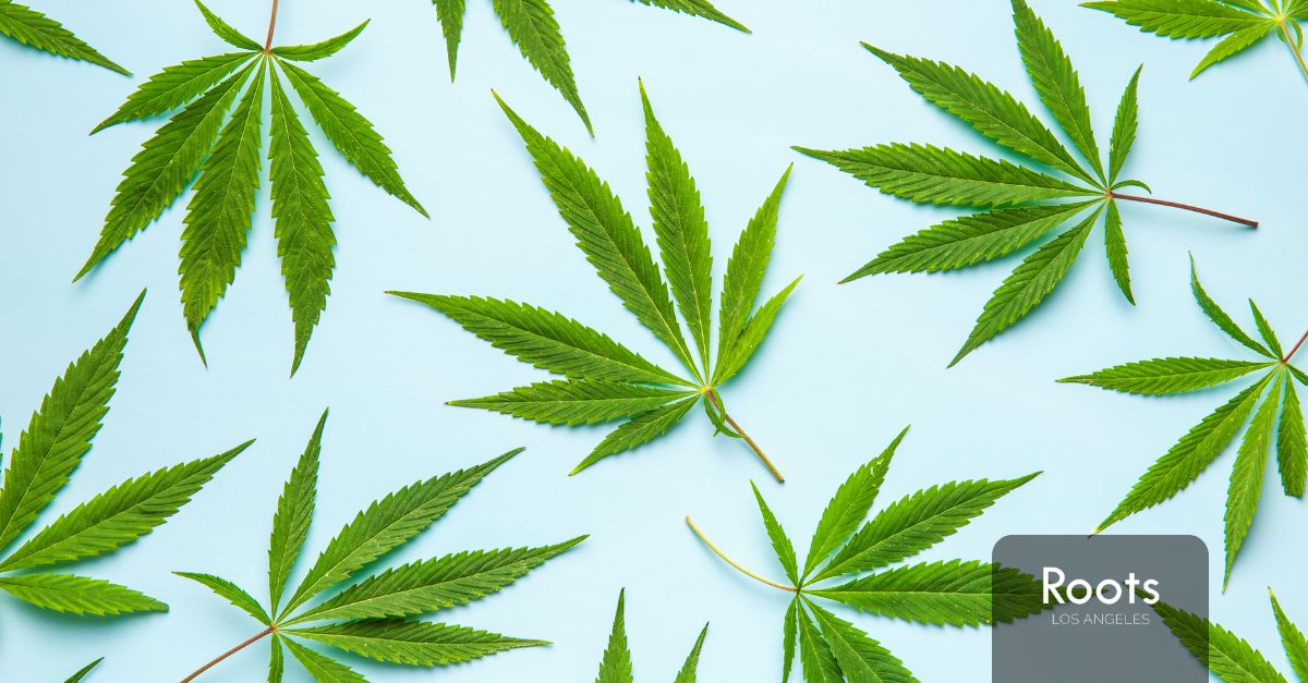 Dispensaries In Los Angeles California dispensaries in los angeles california