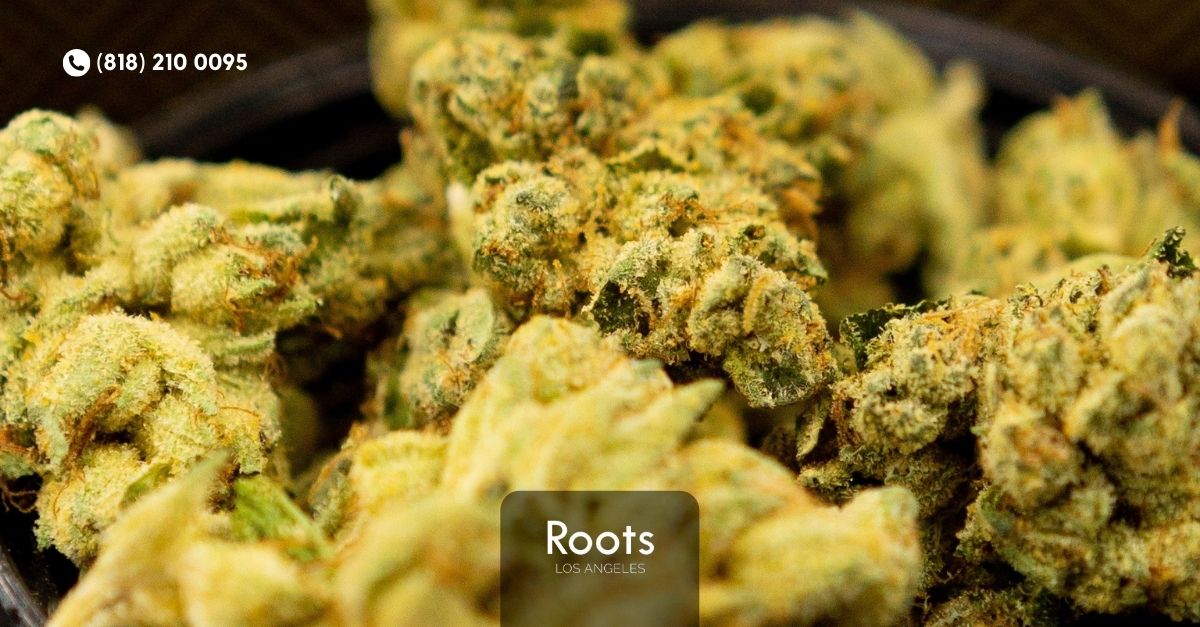 Recreational Marijuana Stores Near Me