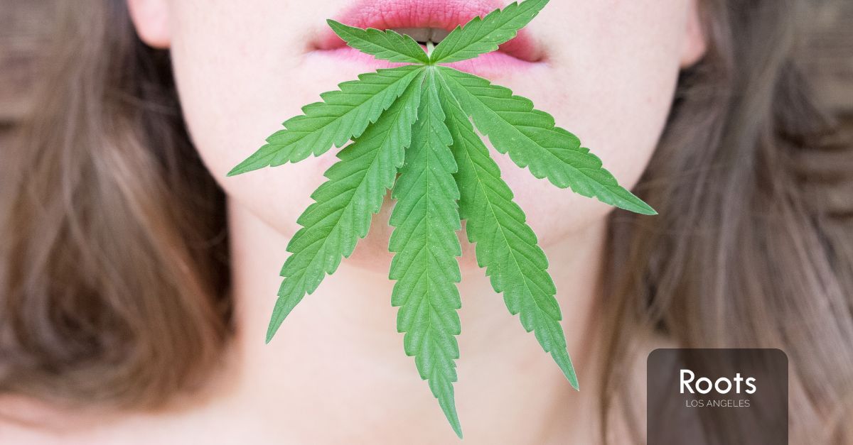 Dispensaries in Sun Valley California