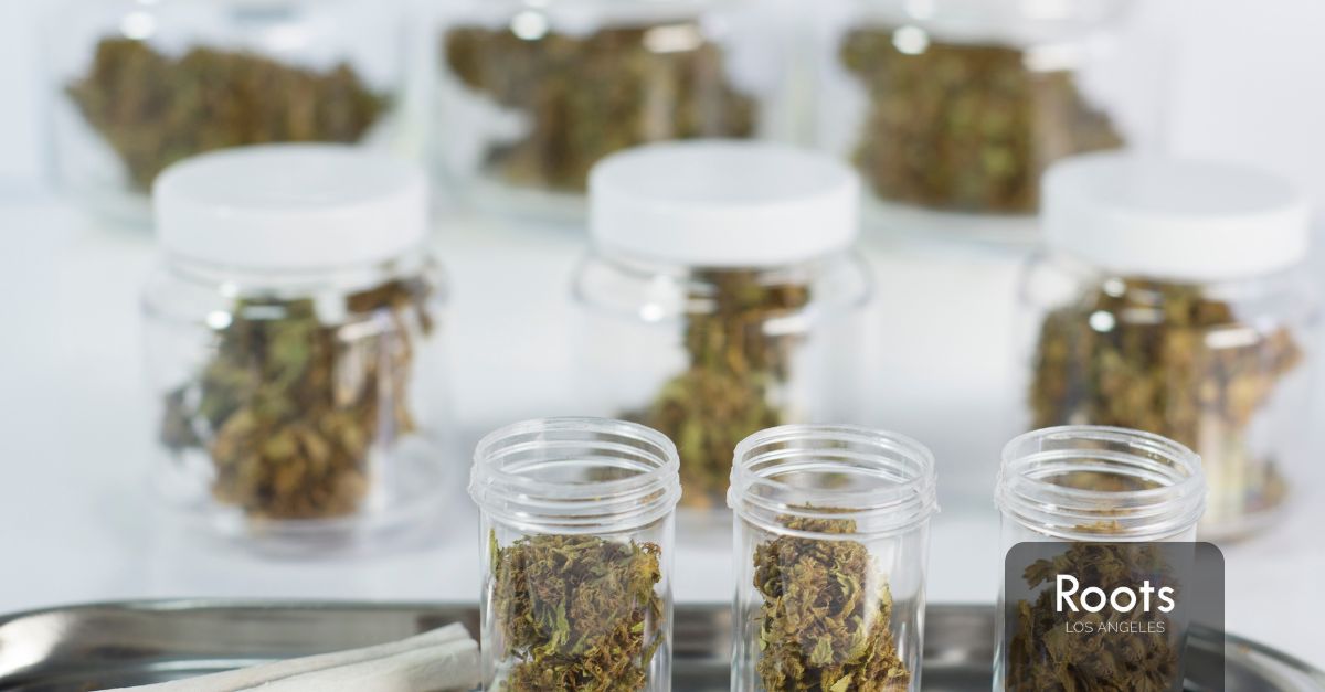 Van Nuys Weed Dispensaries Van Nuys Weed Dispensaries