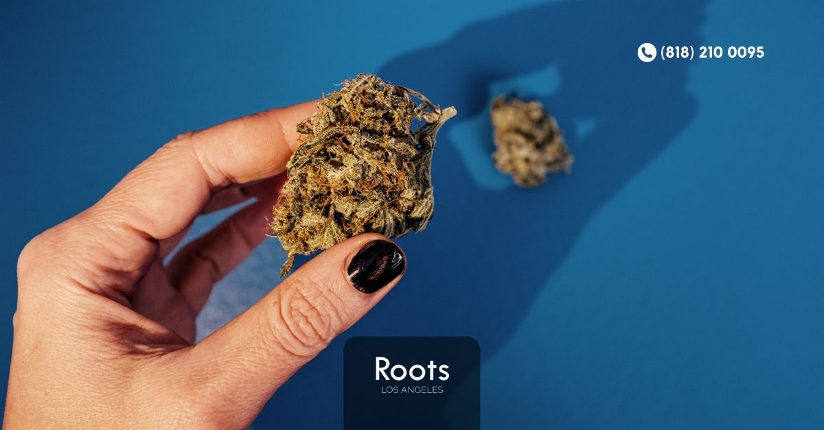 Dispensaries in Los Angeles
